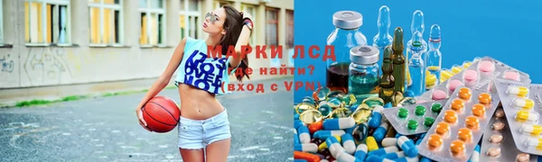 PSILOCYBIN Аркадак