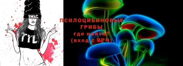 PSILOCYBIN Аркадак