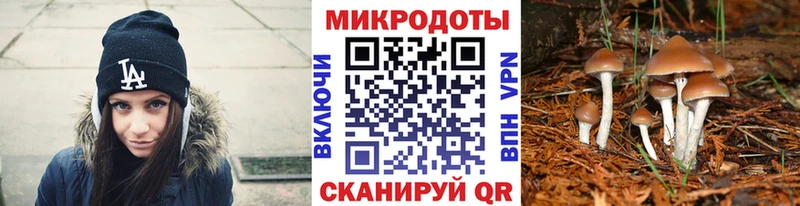 дарк нет какой сайт  Заполярный  Псилоцибиновые грибы мицелий 